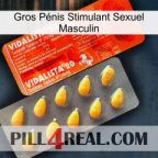 Gros Pénis Stimulant Sexuel Masculin new01